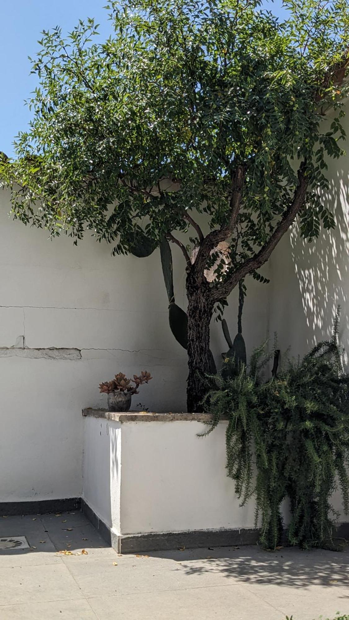 The Cosy Nest Apartamento Pignataro Maggiore Exterior foto